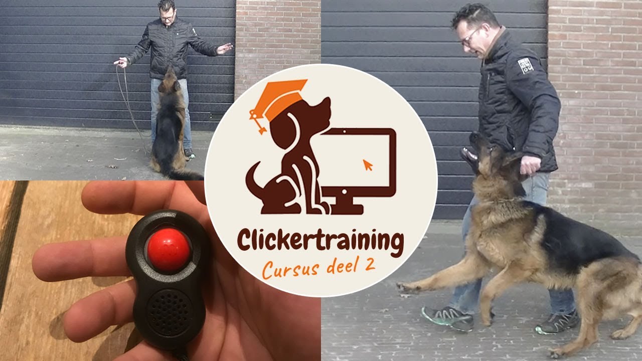Hilarisch ui pil Clickertraining for dogs, part 1 - YouTube