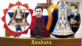 Gnosis,Los Siete Chakras (3/4) by Gnosis Daath 1,660 views 11 years ago 15 minutes