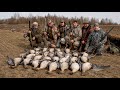 Охота на гуся в Белоруссии и новогодний рецепт его приготовления. Epic Goose hunting!