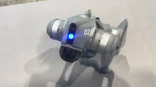 Robot dog outsmarts human
