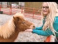 Meet my new MINI HORSES! - (The Tree Cowboys Vlog Episode #6 - Baumann's Mini Bucking Broncos)