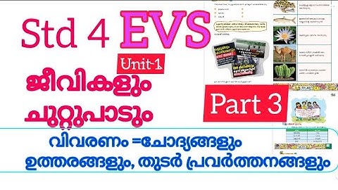 Class 4  New Book EVS unit 1 Jeevikalum chuttupadum /  Activities question &answers #braintechedu