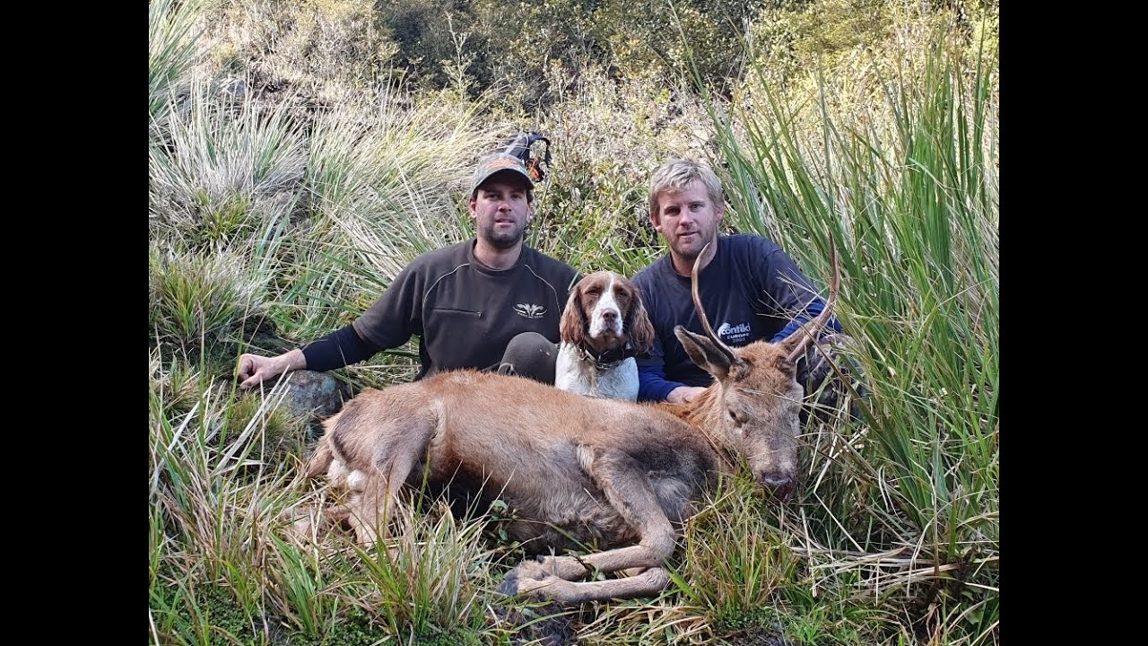 Winter Flycamp/Meat Hunt Public land - YouTube
