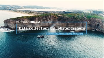Data collection by lobster fishers - improving stock modelling and management