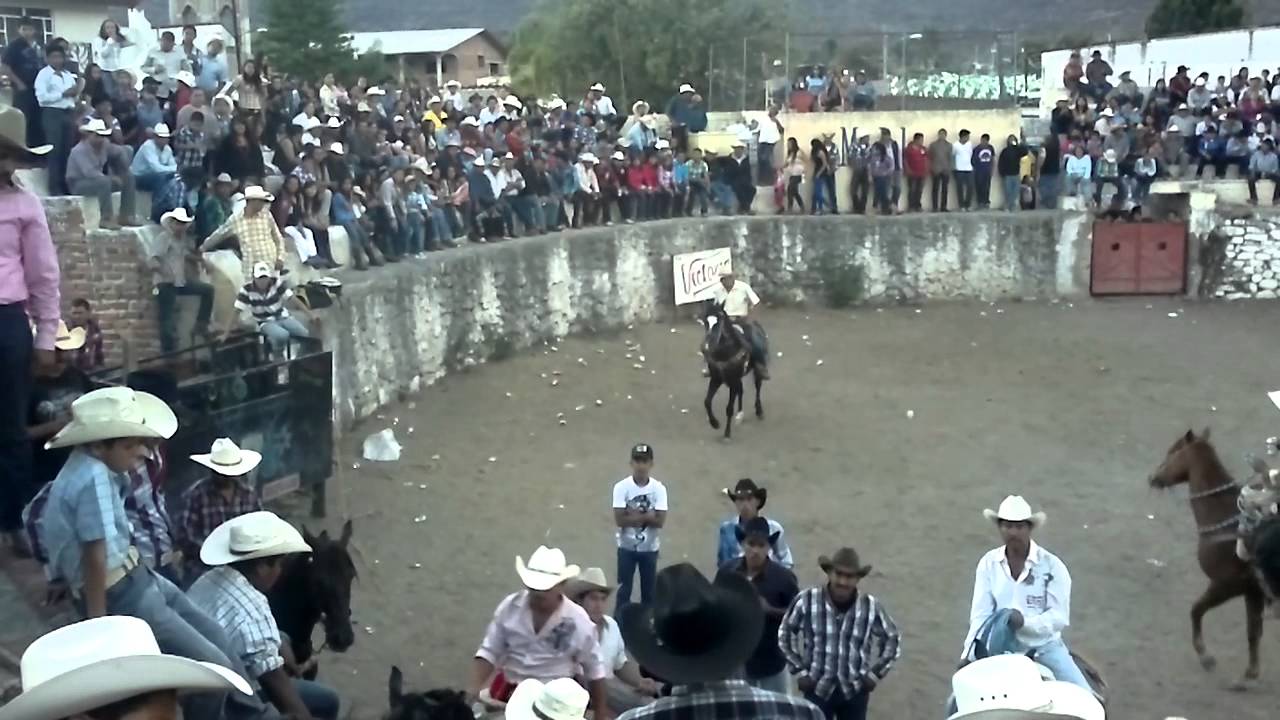 POTRERILLOS JALISCO 2013 - YouTube