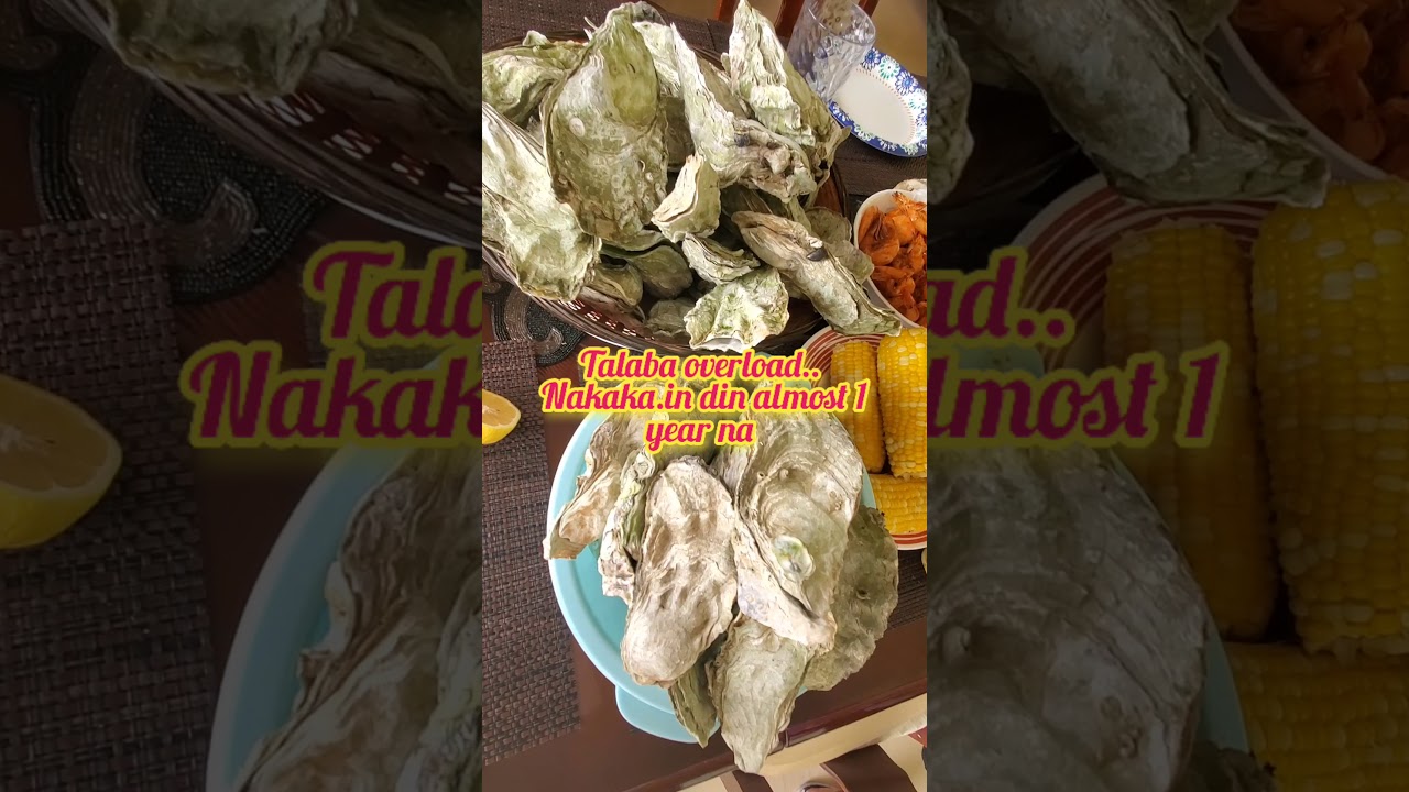 Talaba Overload - YouTube