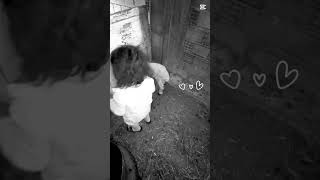 Atamıza hoş geldin kuzucuk #doğum #hayvanlar #koyun #köy #yenidoğan #kuzu