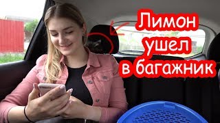 VLOG Покупаю подарки сестре и Макару. Вывезли доски.