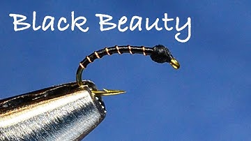 Black Beauty Beginner Fly Tying Instructions by Charlie Craven