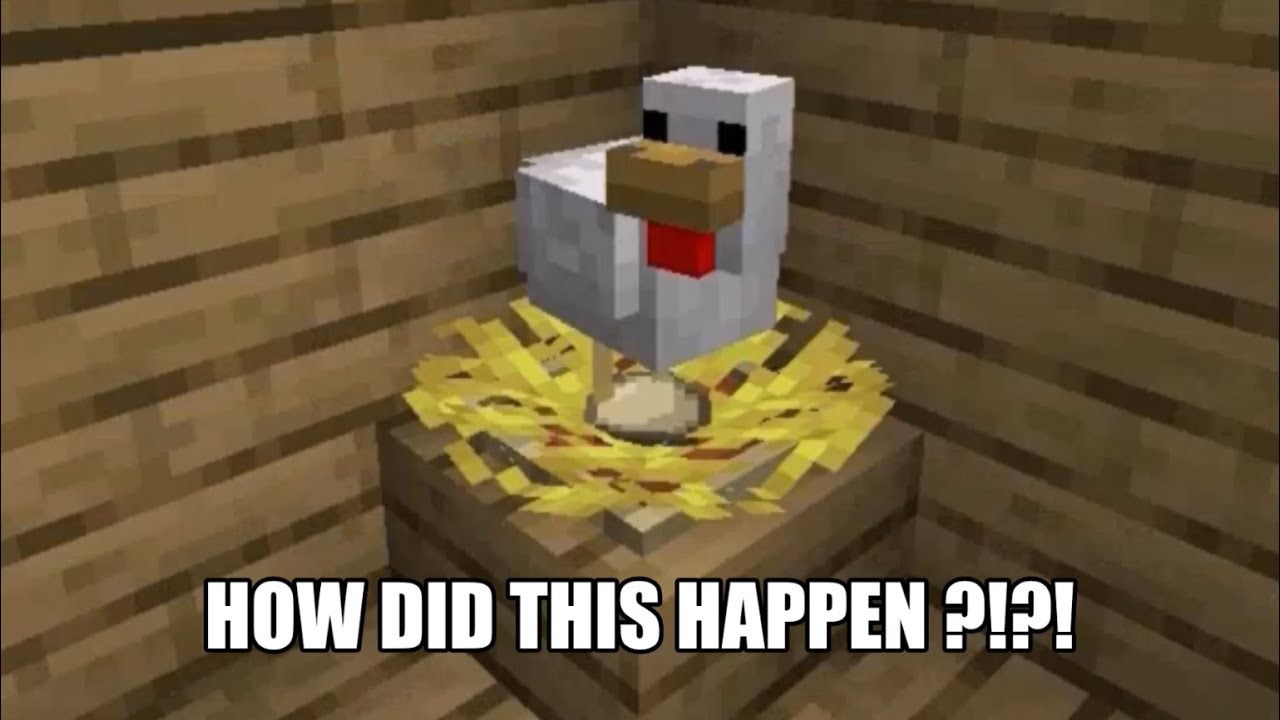 MINECRAFT CHICKEN NEST *NEW* SHORTS YouTube