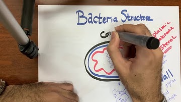 Introduction to Microbiology | Dr Amr Abdallah