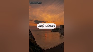 آيات من سورة النساء .. القرآن الكريم