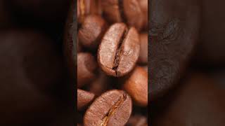 Coffee bean color sorter #ricecolorsorter #machine #aura #cardamomcolorsorter #cashewcolorsorter