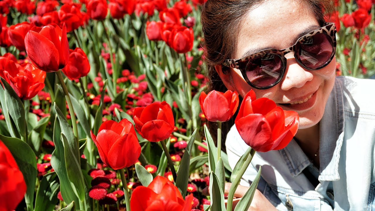 Enjoying the Floriade festival 2018 and the beautiful city of Canberra