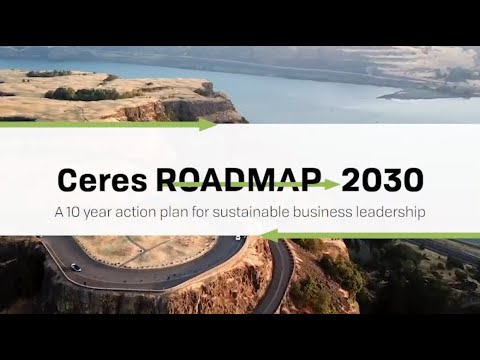 Ceres 2030 Roadmap: Corporate and Investor Voices