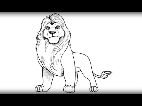 How to draw Mufasa from Lion King