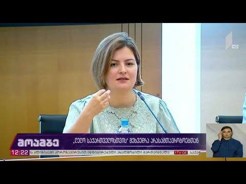 „ლელო - საქართველოსთვის“ შეხვედრა არასამთავრობოებთან