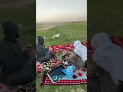 ربيع عين بن فهيد الاسياح القصيم بريدة تصويري كشته كشتات امطار روضة فيضة شيلات اناشيد ٧ ١٤٤٤