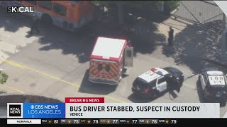 Metro bus driver hospitalized after being stabbed in Venice