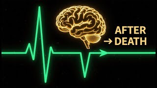 Does Life Flash Before Your Eyes (The Scientific Proof) 🎞️👁️ #universe