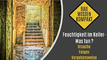 Wie viel Feuchtigkeit im Keller ist normal?