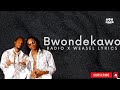 Togeza Nondekawo - Radio and Weasel (Lyrics Video)