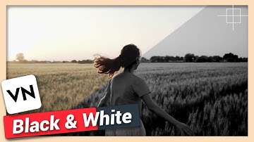 Create Black and White Effect | VN Video Editor Tutorial