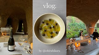 洞窟レストランMaison Owlで過ごすミス青学の休日国内旅行In山口県宇部市 メゾンアウル