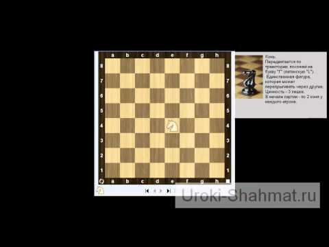 Дмитрий гриценко видео уроки шахмат