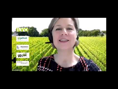 Video: Waarom De Beroemde Bordeaux-wijnstreek In Frankrijk Zes Nieuwe Druiven Laat Groeien