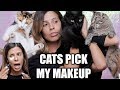 MY CATS PICK MY MAKEUP