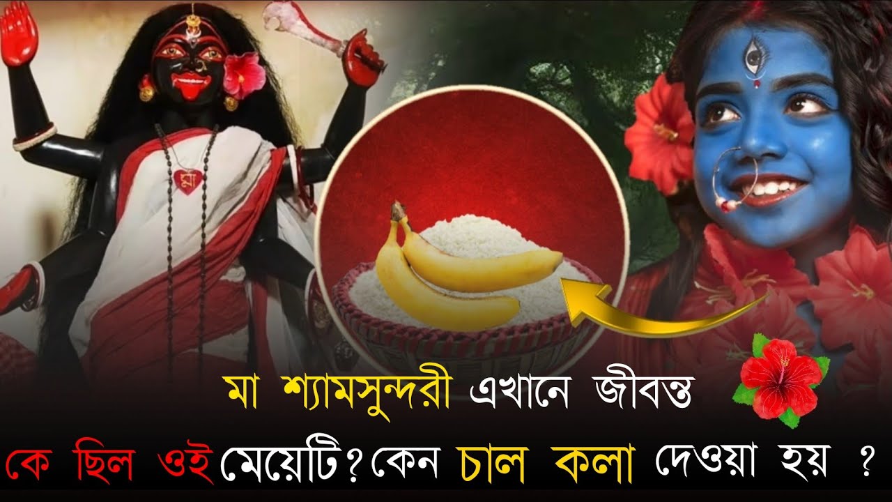 শ্যামসুন্দরী কালী মন্দির | জীবন্ত শ্যামসুন্দরী মায়ের অলৌকিক লীলা | স্বয়ং চাল কলা খেতে আসেন মা।