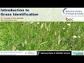 Introduction to Grass Identification