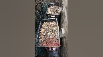 [Hệ thống lọc nước tuần hoàn] Dùng lưới và đá cuội để lọc nước cho ao nuôi tôm hiệu quả | Dr Huy Tôm