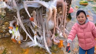 【RUS SUB】Сяочжан отправился в море и нашел под камнем большое гнездо осьминога