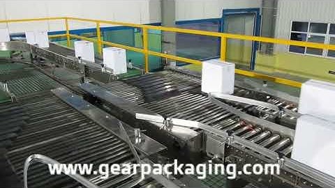 Customized carton box case sorting conveyor box switchable conveyor