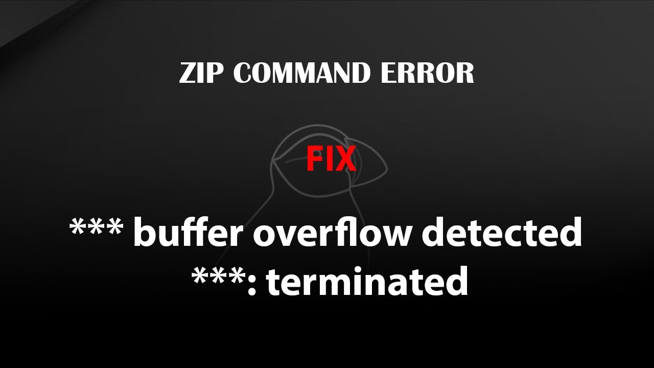 ZIP command outputs: *** buffer overflow detected ***: terminated - YouTube