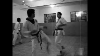 Taekwondo - Los Tigres de San Juan