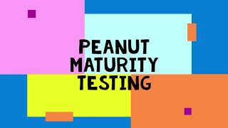 Peanut Maturity Testing