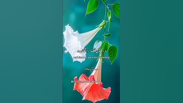 سوره بقره آیه ۱۲۸ / #الله #قرآن #خدا #اسلام #دعاء