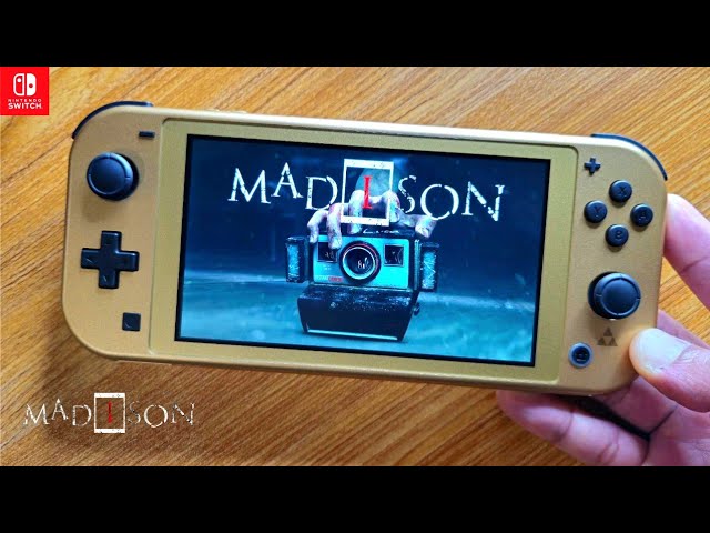 MADiSON Nintendo Switch Lite Gameplay - YouTube