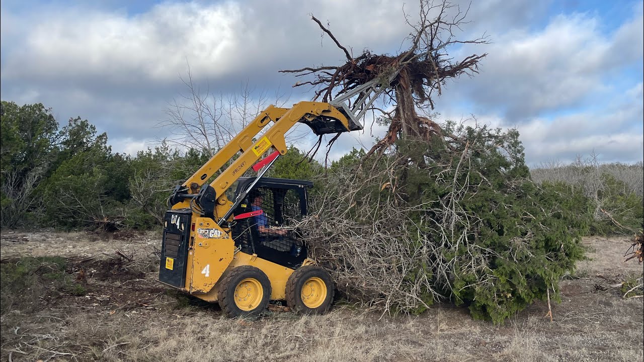 Ripping cedar trees straight out the ground! (Ranch work day) - YouTube