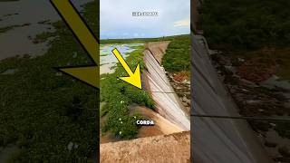 Desentupindo A Represa