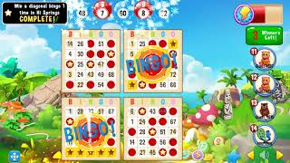 Bingo Money: Fun Game Play screenshot 1