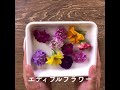 パーティにぴったり！煌めき氷