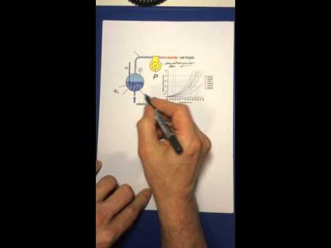 Video: Hvordan fungerer en cirkulær flowmodel?