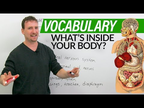 Learn English Vocabulary: Your Body & Organs