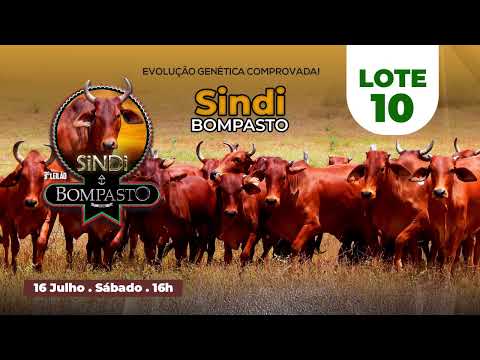 LOTE 10 - MANIVELA BOMPASTO