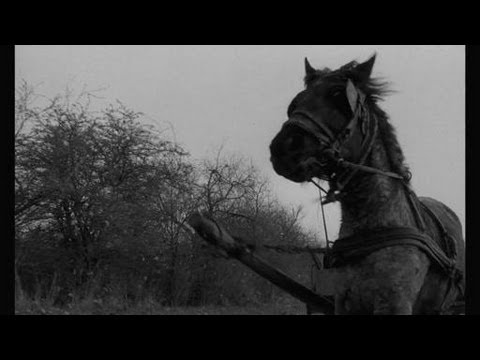 The Turin Horse trailer