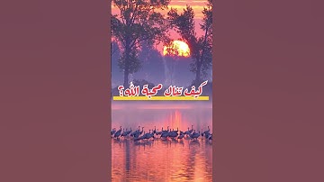 #القرآن_الكريم #اكسبلور #المصحف #اذكار_الصباح #الرحمن